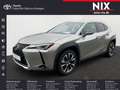 Lexus UX 250h 2.0 Hybrid Style Edition LED SHZ Silber - thumbnail 1