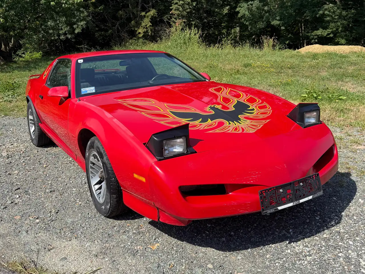 Pontiac Firebird 5,0 V8, foto 4