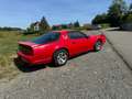 Pontiac Firebird 5,0 V8 Rot - thumbnail 2