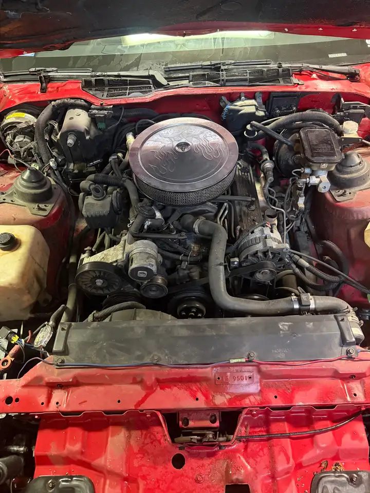 Pontiac Firebird 5,0 V8, foto 6