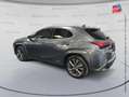 Lexus UX 250h 250h 2WD F SPORT Executive MY22 Grau - thumbnail 8