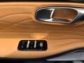 Geely Sonstige Starray EM-i Max Blau - thumbnail 14