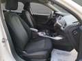 BMW 116 d Serie 1 F40 Sport auto NEOPATENTATI*IVA ESPOSTA* Bianco - thumbnail 16