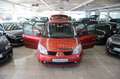 Renault Scenic Confort Authentique 1.6 16V Rot - thumbnail 8