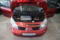 Renault Scenic Confort Authentique 1.6 16V Rot - thumbnail 30