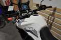 Triumph Tiger 900 Blanc - thumbnail 18