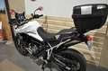Triumph Tiger 900 Blanc - thumbnail 17