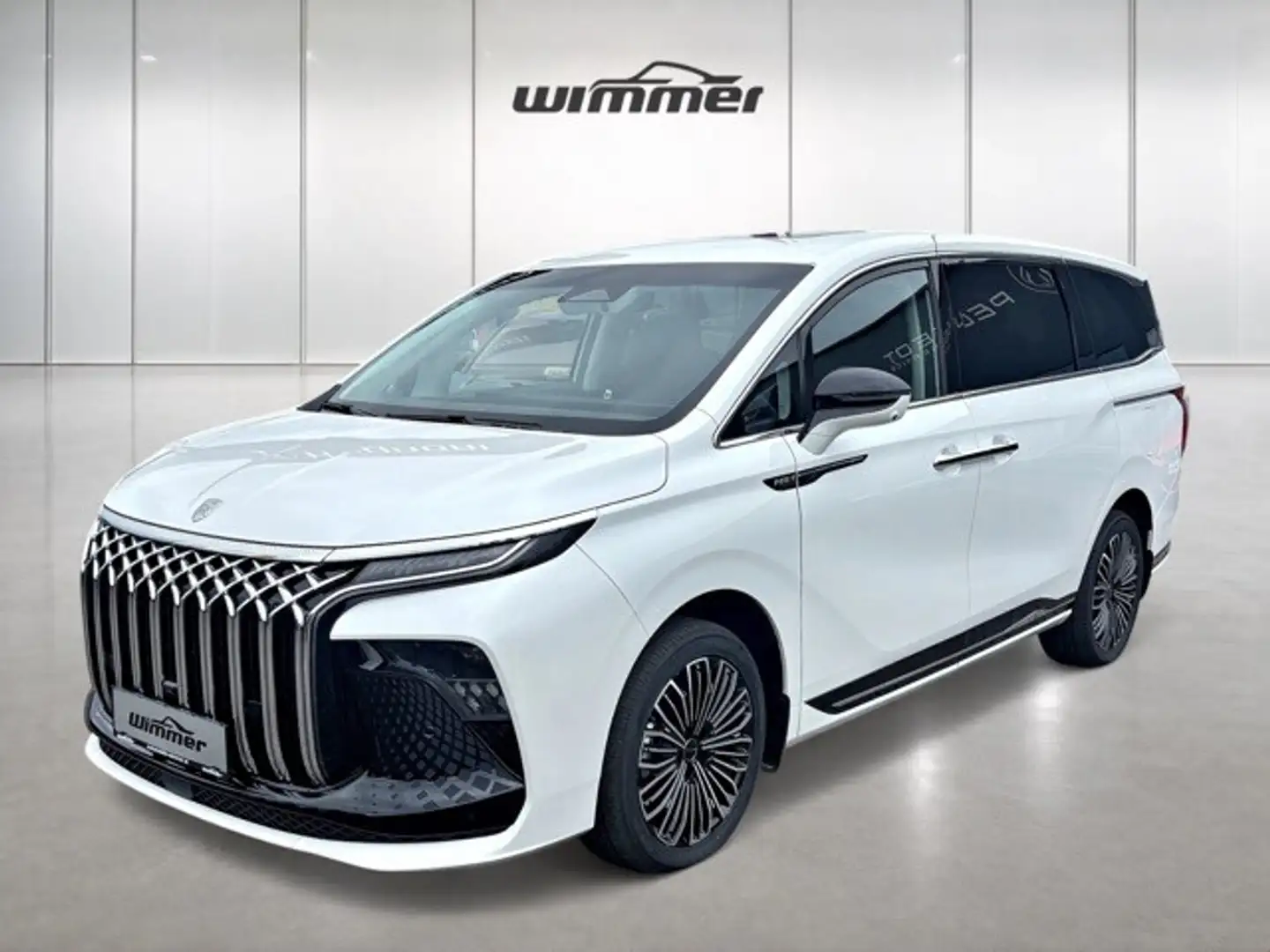DFSK Sonstige Forthing 9 PHEV 34,9kWh Aut. Weiß - 1