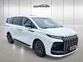 DFSK Sonstige Forthing 9 PHEV 34,9kWh Aut. Weiß - thumbnail 2