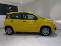 Fiat Panda Pandina 1.0 Hybrid Amarillo - thumbnail 5