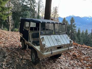 Steyer puch haflinger