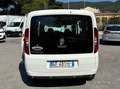 Fiat Doblo 1.6mjt 105cv AUTOCARRO 5 POSTI Anno 2021 Bianco - thumbnail 4