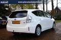 Toyota Prius+ Prius Wagon 1.8 Aspiration Aut. | 7-Persoons | Pan Blanc - thumbnail 3