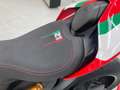 Ducati Panigale V2 Bayliss Anniversary NUMERAZIONE 1314 Rosso - thumbnail 10