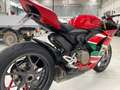 Ducati Panigale V2 Bayliss Anniversary NUMERAZIONE 1314 Rosso - thumbnail 7