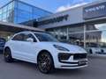 Porsche Macan Pano*ACC*BLIS*21Zoll*Standhzg*Lederp.*360° Weiß - thumbnail 1