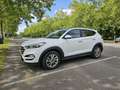 Hyundai TUCSON Tucson blue 1.7 CRDi 2WD Intro Edition Blanc - thumbnail 4