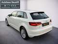 Audi A3 Ambiente 1,6 TDI *Erstbesitz* Weiß - thumbnail 4