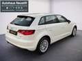 Audi A3 Ambiente 1,6 TDI *Erstbesitz* Weiß - thumbnail 3