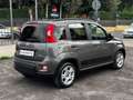Fiat Panda 1.0 FIREFLY S&S HYBRID USB+VETRI PRIVACY+PERFETTA! Gris - thumbnail 6