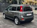 Fiat Panda 1.0 FIREFLY S&S HYBRID USB+VETRI PRIVACY+PERFETTA! Gris - thumbnail 4