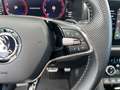 Skoda Kodiaq 2,0 TDI SCR 4x4 Sportline DSG *PANO*AHK*STANDHE... Grau - thumbnail 14