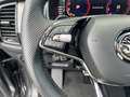 Skoda Kodiaq 2,0 TDI SCR 4x4 Sportline DSG *PANO*AHK*STANDHE... Grau - thumbnail 15