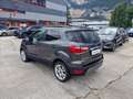 Ford EcoSport 1.0 ecoboost Titanium s&s 125cv Grijs - thumbnail 5