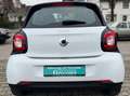 smart forFour Basis 52 kW Klima Weiß - thumbnail 5