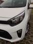 Kia Picanto Picanto 1.0 Active bluetooth Bianco - thumbnail 9
