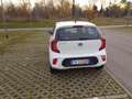 Kia Picanto Picanto 1.0 Active bluetooth Bianco - thumbnail 4