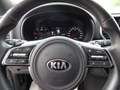 Kia Sportage 1.6 CRDI 136 CV DCT7 2WD Mild Hybrid GT Line Bianco - thumbnail 15