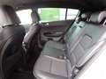 Kia Sportage 1.6 CRDI 136 CV DCT7 2WD Mild Hybrid GT Line Bianco - thumbnail 12