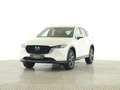 Mazda CX-5 Ad'vantage LED Navi SHZ Tempomat ACC HUD LM Weiß - thumbnail 1