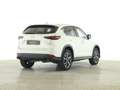 Mazda CX-5 Ad'vantage LED Navi SHZ Tempomat ACC HUD LM Weiß - thumbnail 2