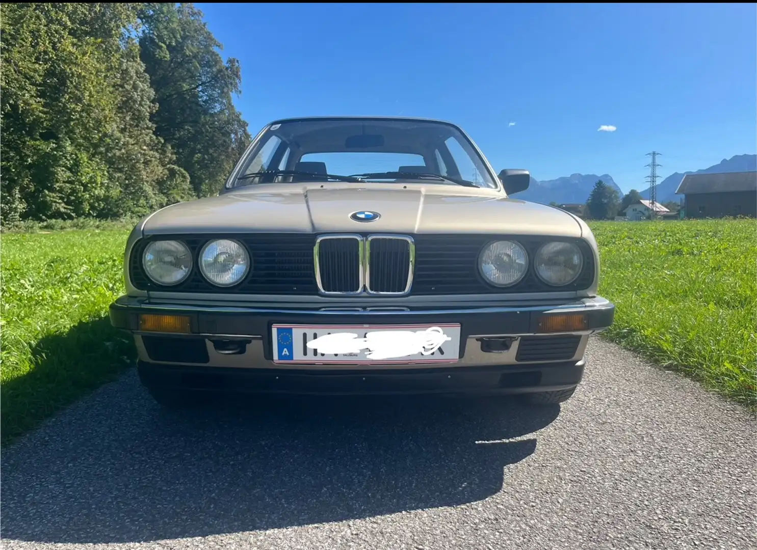 BMW 316 - 2