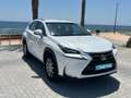 Lexus NX 300 300h Business Navigation 2WD Blanco - thumbnail 4