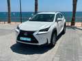 Lexus NX 300 300h Business Navigation 2WD Blanco - thumbnail 2