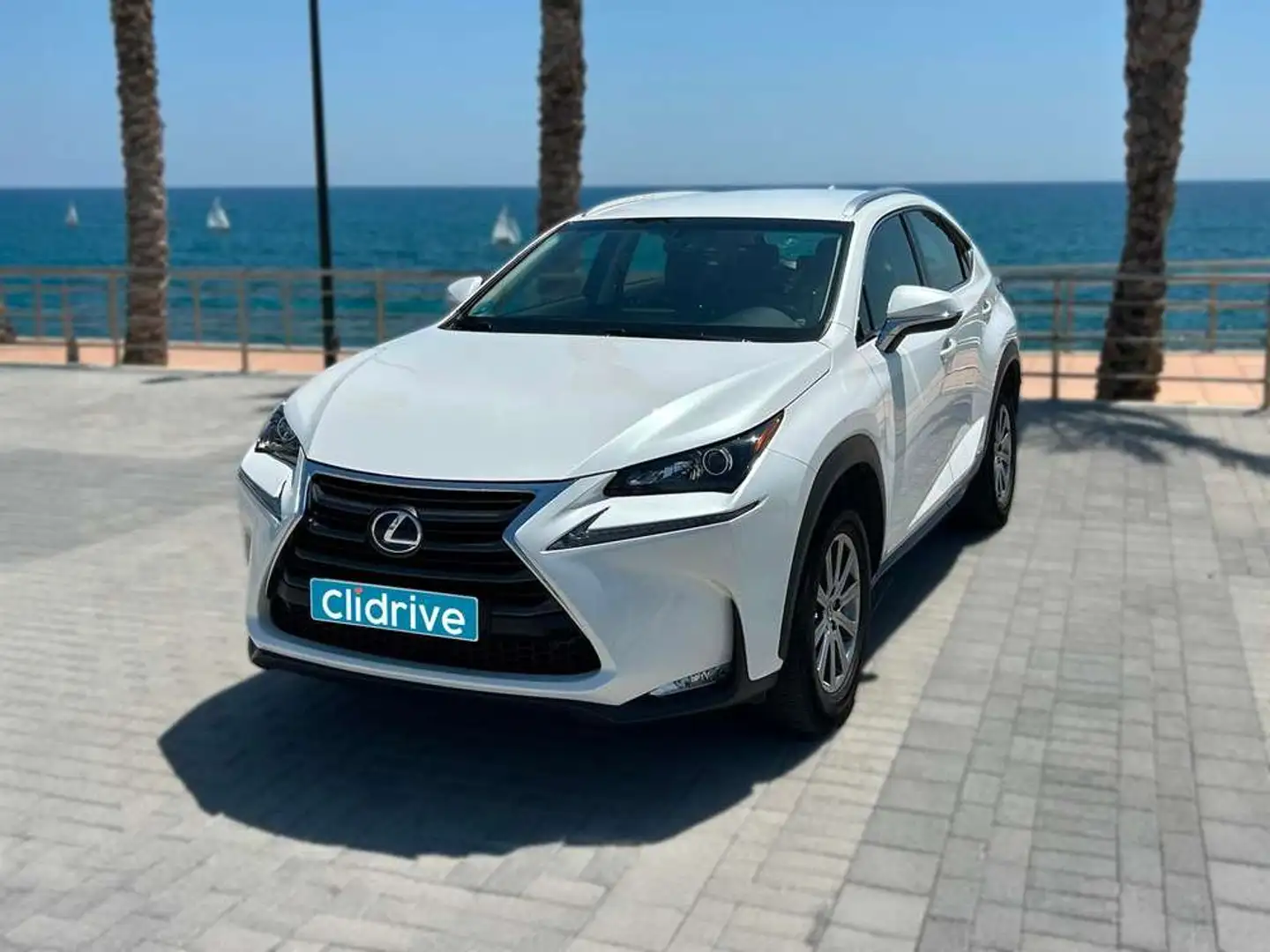 Lexus NX 300 300h Business Navigation 2WD Blanco - 2