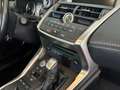 Lexus NX 300 300h Business Navigation 2WD Blanco - thumbnail 9