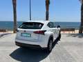 Lexus NX 300 300h Business Navigation 2WD Blanco - thumbnail 6
