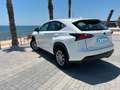 Lexus NX 300 300h Business Navigation 2WD Blanco - thumbnail 7