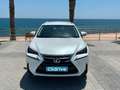 Lexus NX 300 300h Business Navigation 2WD Blanco - thumbnail 3