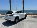 Lexus NX 300 300h Business Navigation 2WD Blanco - thumbnail 5