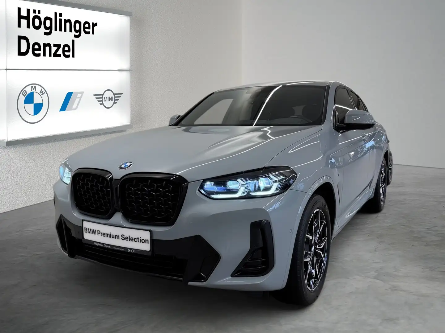 BMW X4 xDrive 20d Grau - 1