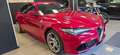Alfa Romeo Giulia 2016 2.9 t V6 Quadrifoglio 510cv auto PRIMA SERIE Rosso - thumbnail 1