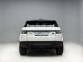 Land Rover Range Rover Evoque 2.2L TD4 Dynamic 4x4 Aut. Weiß - thumbnail 5