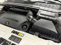 Land Rover Range Rover Evoque 2.2L TD4 Dynamic 4x4 Aut. Weiß - thumbnail 20