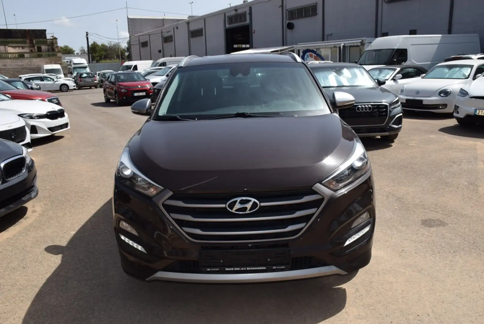 Hyundai TUCSON 1.7CRDI BD Essence 4x2 Marrone - 2