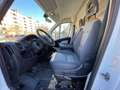 Fiat Ducato Fg. 35 2.0Mjt LPEGR Corto 85kW Blanc - thumbnail 10